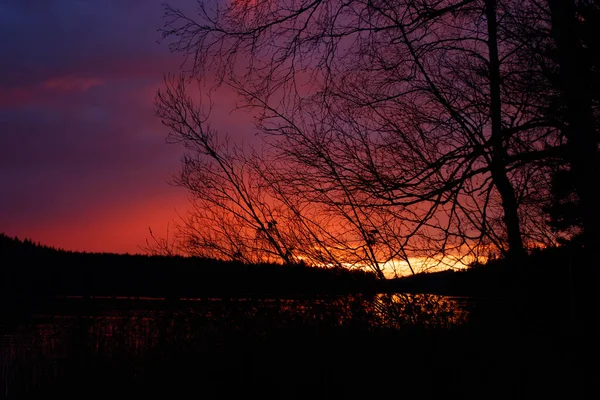 Hermosa Puesta Sol Noviembre Lago Finlandia — Foto de Stock