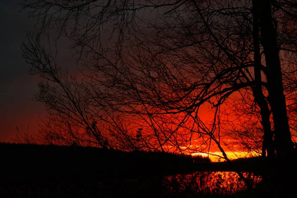 Beau Coucher Soleil Novembre Sur Lac Finlande — Photo