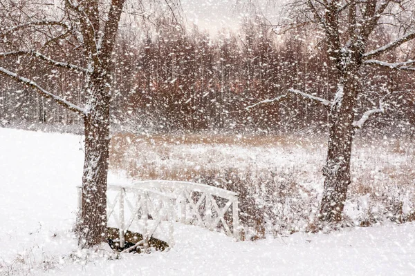 Beautiful Winter Snow Landscape Finland — Stock Photo, Image