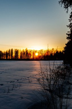Gün batımında karlı arazide tavşan izleri olan bir kışın kırsal bölgesi..