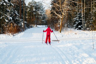 Finlandiya 'da kış ormanlarında kayak pistinde küçük bir çocuk.