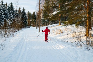 Finlandiya 'da kış ormanlarında kayak pistinde küçük bir çocuk.
