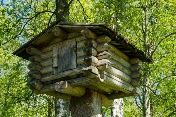 Pequeña Casa Del Árbol Hecha Troncos Bosque —  Fotos de Stock