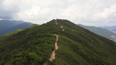 Hong Kong Adasındaki Ejderha Sırtı Yürüyüş Yolu.