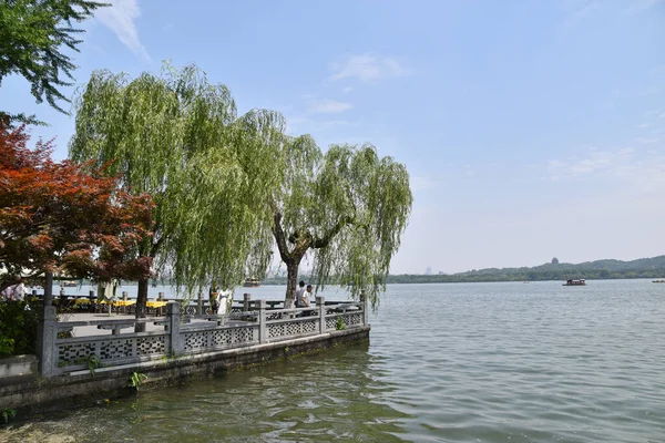 Ağlayan Söğüt Ağaçları Hangzhou, Çin 'deki Batı Gölü' nün üzerinde.