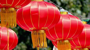 Pürüzsüz, modern ofis ortamında dizüstü bilgisayarda verimli bir işe odaklanmış genç bir profesyonel..