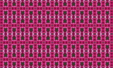 Çiçek motifleri içeren karmaşık pembe ve yeşil geometrik desen. Tasarımlara zarafet ve incelik katmak için mükemmel..