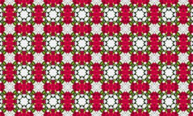 Yeşil yapraklı kırmızı ve beyaz güller, dekoratif tasarımlar, duvar kağıtları ve dokular için mükemmel.