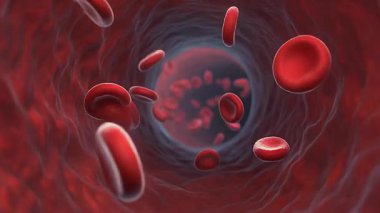 Bir damarda akan kırmızı kan hücrelerinin ayrıntılı üç boyutlu çizimi