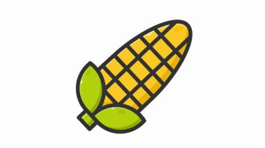 Yeşil yapraklı koçandaki renkli mısırlar, canlı çizimler.