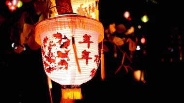 Çok güzel aydınlatılmış Çin feneri. Karmaşık balık tasarımı her kutlamaya şenlikli bir ortam katıyor.