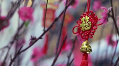 Altın aksanlarla bezenmiş karmaşık Çin düğümleri ve pembe filizlenen dalların arasına asılmış kültürel zarafet ve şenlik cazibesini çağrıştırıyor..