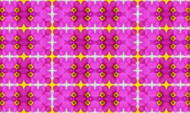 Sarı aksanlı güzel pembe çiçek deseni, modern tasarımlar için mükemmel.