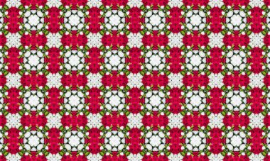 Güzel, zarif bir dizayn içinde kırmızı ve beyaz güller içeren çarpıcı çiçek deseni, dekorasyon, duvar kağıdı veya hediye paketi için mükemmel.