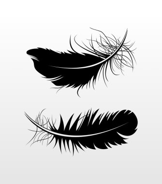 Dekoratif tüyler illüstrasyon. Vektör çizim.