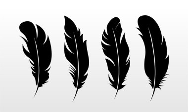 Dekoratif tüyler illüstrasyon. Vektör çizim.