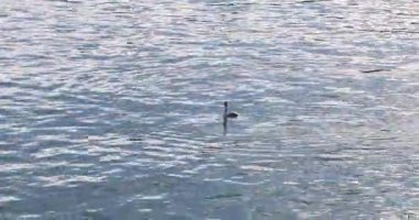 Deniz suyunun güzel manzarası