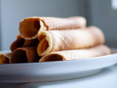 Gofret rulosunun son ayrıntıları. Yoğun makro odak katmanlı dokuyu, gözenekli yüzeyi, spiral tünelleri gösterir,