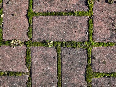 Çakıl taşı tasarımı, kabataslak desenli bej taşların kare şebeke düzenleme ve üstlerinde sıcak tonlarda tonlar.