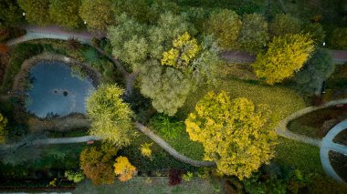 Çevre bilimci göl habitat çeşitliliğini, çevreleyen renkli ağaçlar ve vahşi yaşam içeren yansıtıcı havuzları gözlemliyor