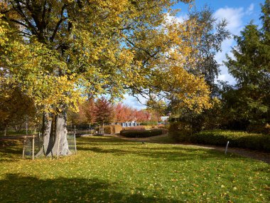 Huzurlu ve huzurlu bir manzaraya karşı canlı sonbahar renklerini sergileyen enfes ve resimli bir park sahnesi