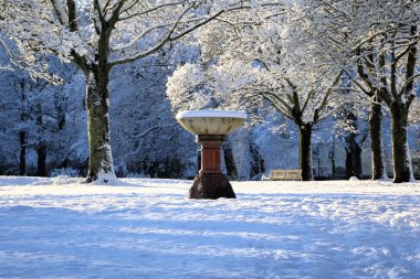 Karlı Park Sahnesi Buzlu Ağaçlar, Benç ve Central Stone Çeşmesi Kışın 2026 Ocak 'ında yumuşak mavi ışıkta yıkanan sakin bir kış parkı, zemini ve ağaçları kaplıyor. Önde gelen bir taş çeşmesi ahşap bir bankın yanında duruyor.