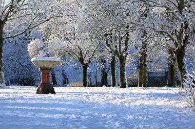 Karlı Park Sahnesi Buzlu Ağaçlar, Benç ve Central Stone Çeşmesi Kışın 2026 Ocak 'ında yumuşak mavi ışıkta yıkanan sakin bir kış parkı, zemini ve ağaçları kaplıyor. Önde gelen bir taş çeşmesi ahşap bir bankın yanında duruyor.