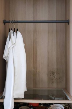 Nemli ahşap bir gardıropta asılı beyaz elbiseler ve kumaş ve iç yüzeylerde küf lekeleri, su hasarını, ihmalkarlığı, temizlik, iyileştirme ve tekstil bakımına ihtiyaç olduğunu gösteriyor..