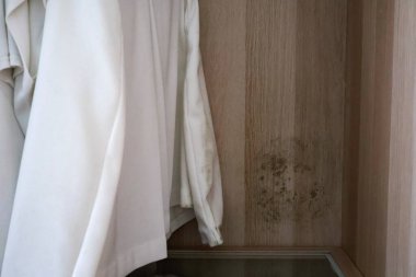 Nemli ahşap bir gardıropta asılı beyaz elbiseler ve kumaş ve iç yüzeylerde küf lekeleri, su hasarını, ihmalkarlığı, temizlik, iyileştirme ve tekstil bakımına ihtiyaç olduğunu gösteriyor..