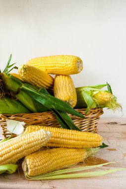 Yaprakları ile taze Mısır