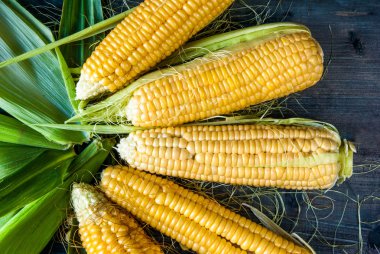 Yaprakları ile taze Mısır