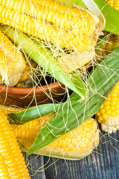 Fresh corn with leaves — Stock Photo, Image