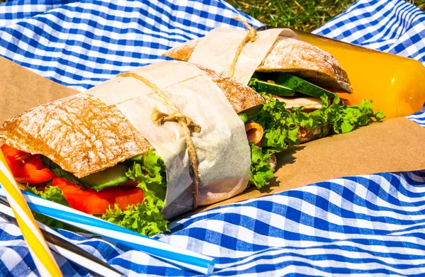 Пикник с домашними бутербродами — стоковое фото