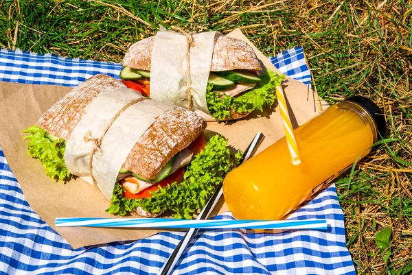 Piknik s domácí sendviče — Stock fotografie