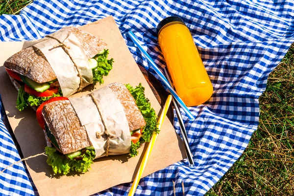 Piknik s domácí sendviče — Stock fotografie