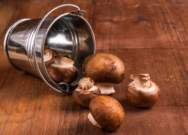 Шампиньоны с крошечными грибами — стоковое фото