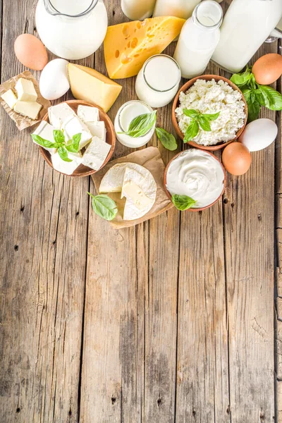 Set Vari Latticini Freschi Latte Ricotta Formaggio Uova Yogurt Panna — Foto Stock