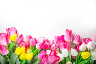 Bahar lale çiçekleri arka planı. Beyaz, sarı, pembe, kırmızı lale buketi beyaz arka planda bokeh efektli, pankart biçimlendirme