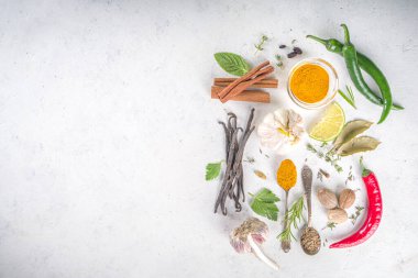 Taze bitkiler, kurutulmuş renkli baharatlar. Arka planda çeşitli baharatlar, bitkiler biber, vanilya fasulyesi, tarçın, fesleğen, biberiye, kırmızı biber, nane, maydanoz beyazından masa üstü manzaralı flatlay pişirme