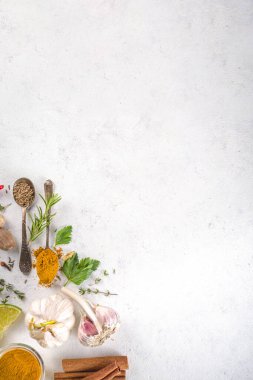 Taze bitkiler, kurutulmuş renkli baharatlar. Arka planda çeşitli baharatlar, bitkiler biber, vanilya fasulyesi, tarçın, fesleğen, biberiye, kırmızı biber, nane, maydanoz beyazından masa üstü manzaralı flatlay pişirme