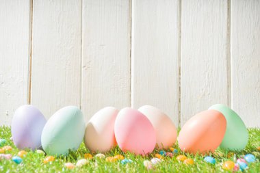 Paskalya tebrik kartı, davetiye geçmişi. Bahar Çimeni ve Beyaz Tahta Arkaplanda Paskalya Yumurtaları 