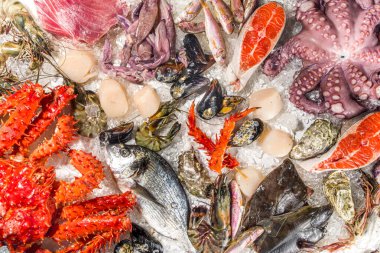 Çeşitli taze çiğ deniz ürünleri seti - ahtapot, yengeç, mürekkep balığı, karides, istiridye, midye, somon balığı limon baharatlı ton balığı, ezilmiş buzlu arka plan üst görünüm 