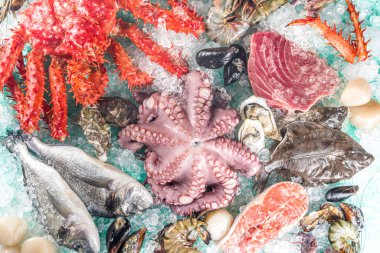 Çeşitli taze çiğ deniz ürünleri seti - ahtapot, yengeç, kalamar, karides, istiridye, midye, somon balığı limon baharatlı ton balığı, açık mavi arka plan, ezilmiş buzlu fotokopi alanı 