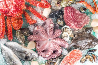 Çeşitli taze çiğ deniz ürünleri seti - ahtapot, yengeç, kalamar, karides, istiridye, midye, somon balığı limon baharatlı ton balığı, açık mavi arka plan, ezilmiş buzlu fotokopi alanı 