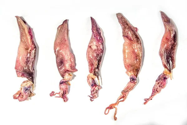 Çiğ Taze Deniz Ürünleri Mürekkep Balığı Beyaz Arka Planda Izole — Stok fotoğraf