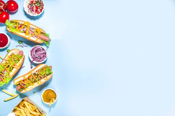 Grill Grillowane Fast Food Różne Tradycyjne Amerykańskie Hot Dogi Zestaw — Zdjęcie stockowe