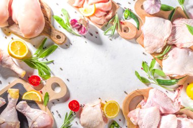Çeşitli çiğ tavuk eti porsiyonları. Pişmemiş tavuk filetosu, but, kanatlar, şeritler ve bacaklar beyaz yemek masasında baharatlı. 