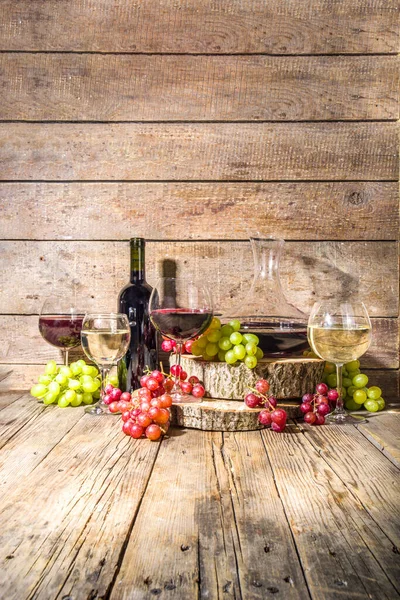 Bicchieri Vino Rosso Bianco Con Sole Ombre Con Bottiglia Decanter — Foto Stock