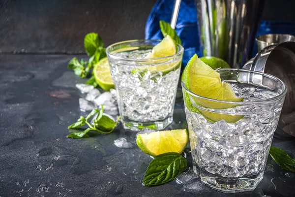 Summer Paloma Cocktail Vodka Lime Mojito Gin Tonic Lime Wedge — Φωτογραφία Αρχείου