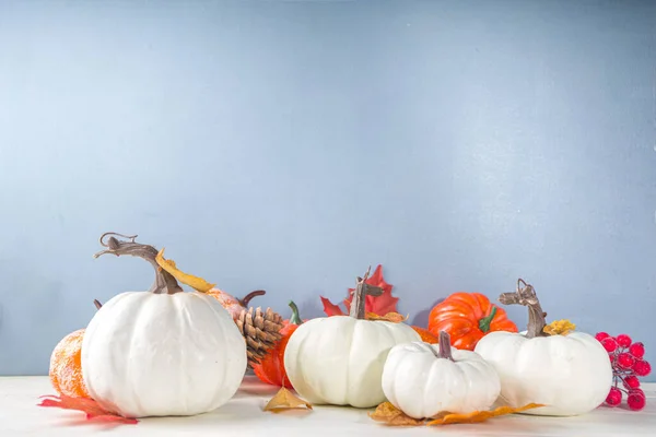 Erntedankfest Halloween Festkarte Mit Kürbissen Dekorativen Beeren Und Herbstblättern Auf — Stockfoto